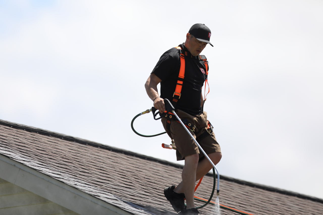 Shingle Rejuvenation overview